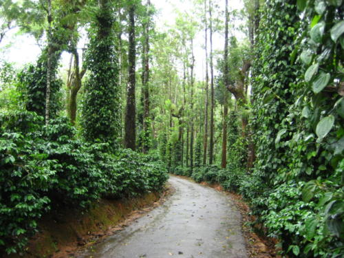 Coorg